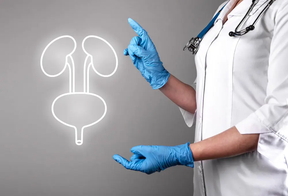A urologist reviewing an abdominal scan with a patient during a kidney stone consultation at German Medical Center Dubai